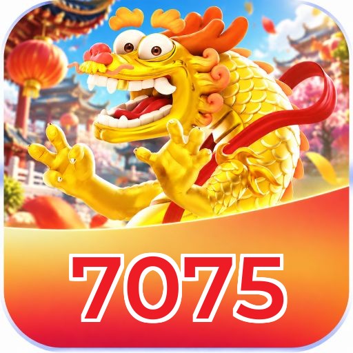 7075 Plataforma FAQ