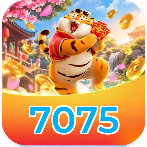 7075 Download Speed